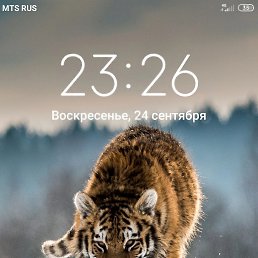  , , 35  -  6  2023