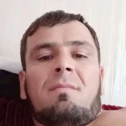 ������, ������, 36 ���