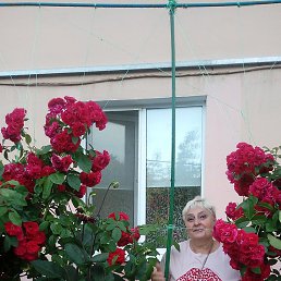 �������, �����, 66 ���