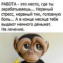 ���� ��, ������������, 49 ��� - ��������� 27 ������� 2023