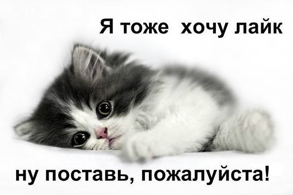 Juri - 24  2023  14:05