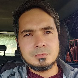 ������, ������, 40 ���