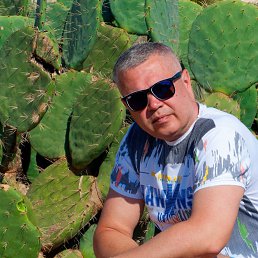 ���� �����, ���������� - ��������� 24 �������� 2023