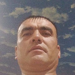 �����, ������, 37 ���