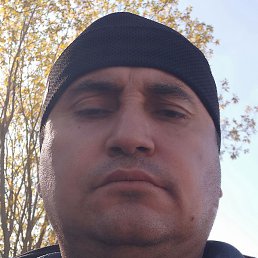 ������, ������, 48 ���