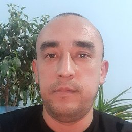 ������, �����, 42 ����