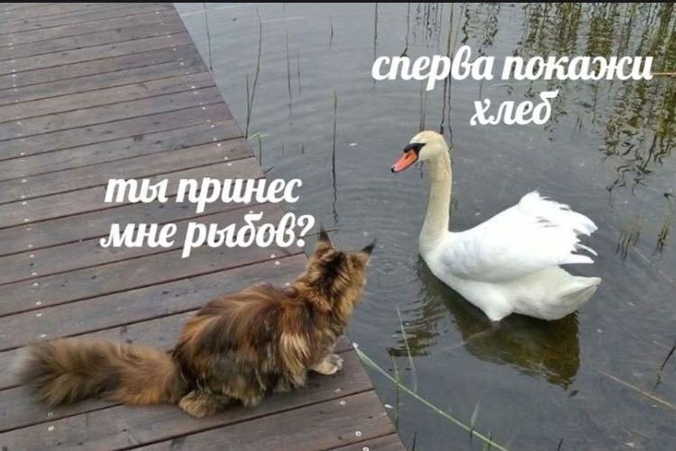    - 2  2023  10:16