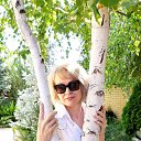 ���� �����, ��������� - ��������� 2 ������� 2023 � ������ ���� ����������