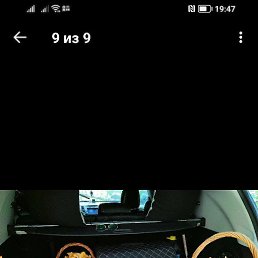 ��������, ������, 53 ����