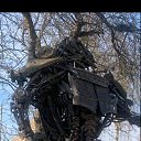 ���� ������, �����������, 37 ��� - ��������� 11 ���� 2023