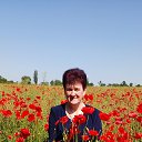 ���� �������, ��������������, 65 ��� - ��������� 13 ���� 2023 � ������ ���� ����������