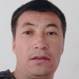 ����, ������, 41 ���