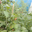 ���� ������, ������� ��������, 44 ���� - ��������� 30 �������� 2023 � ������ ���� ����������