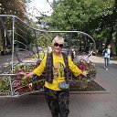 ���� ������, ������, 56 ��� - ��������� 31 ���� 2023