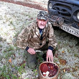 �������, �������������, 65 ���