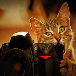 �������, ������, 43 ����