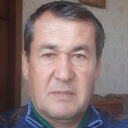 �����, �����-���������, 54 ����