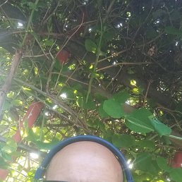 ���� �����, �����������, 47 ��� - ��������� 22 ���� 2023