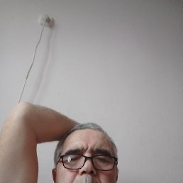 ����, �������, 55 ���