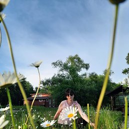 ��������, ����������, 57 ���