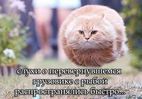    - 2  2023  13:29