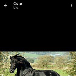 Jasur, �������, 33 ����