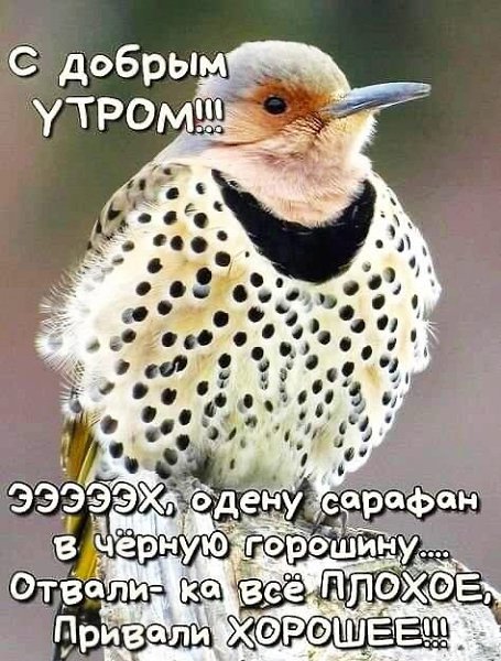  - 11  2023  10:41