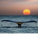 ���� ����, ������, 38 ��� - ��������� 26 ��� 2023 � ������ ���� ����������