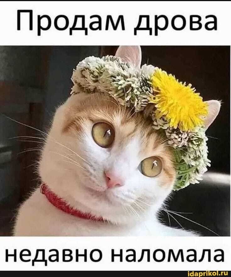   - 5  2023  10:26