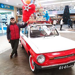 ���� �����, �����-���������, 33 ���� - ��������� 6 ��� 2023