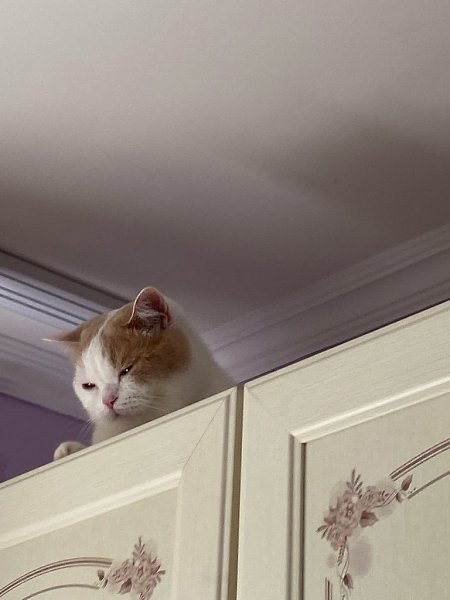 ��, ����� ��� ������ ������� �������� �� ����