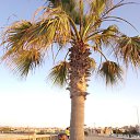 ���� ����� ����, �����, 56 ��� - ��������� 12 ��� 2023