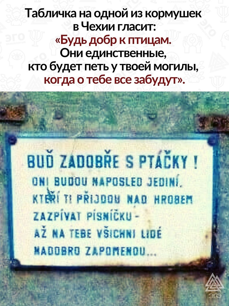    ,   . ,        . ...