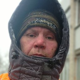 ����, ������������, 43 ����