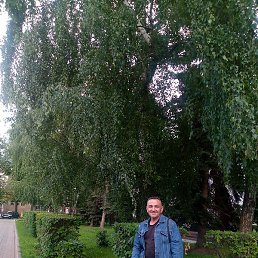 ������, ������, 46 ���