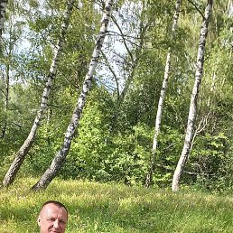 ������, �������, 38 ���