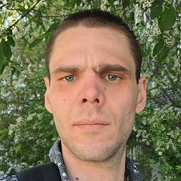 ��������, ������������, 37 ���