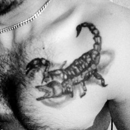 �����, ������, 32 ����