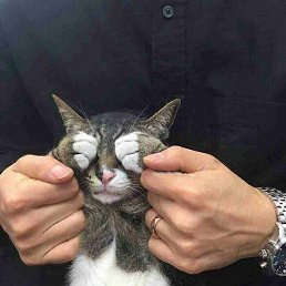 ����, ������, 25 ���