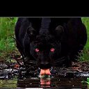 ���� ������, ������, 44 ���� - ��������� 25 ���� 2023 � ������ ���� ����������