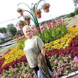 ������, �������, 54 ����