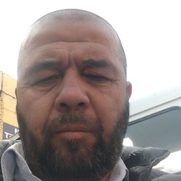 ����, �������, 55 ���