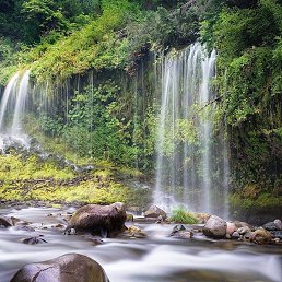 �����, ������