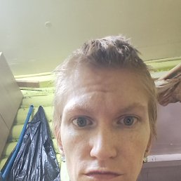 , 33 , 