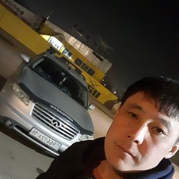 �����, ������, 37 ���