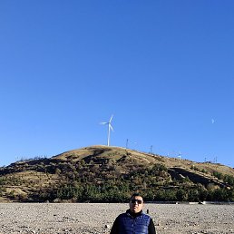 Shoxa, �����, 33 ����