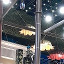 ���� �����, ������, 38 ��� - ��������� 27 �������� 2023 � ������ ���� ����������