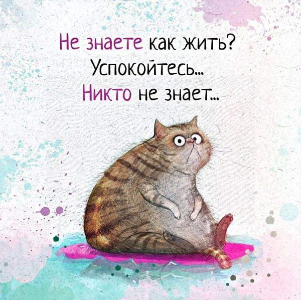  - 21  2023  11:17