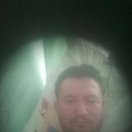 �����, ���, 33 ����