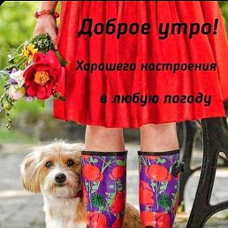 ������, ��������, 45 ���